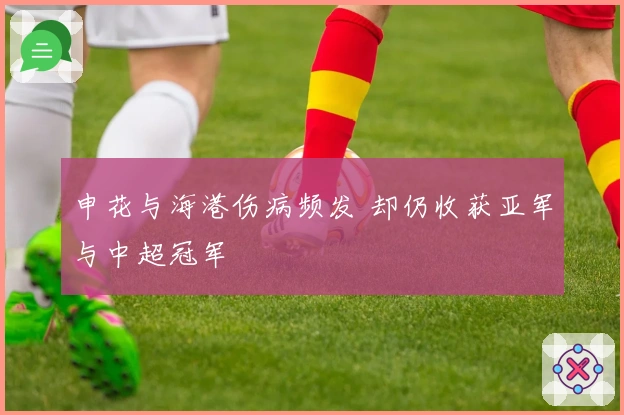 申花与海港伤病频发 却仍收获亚军与中超冠军