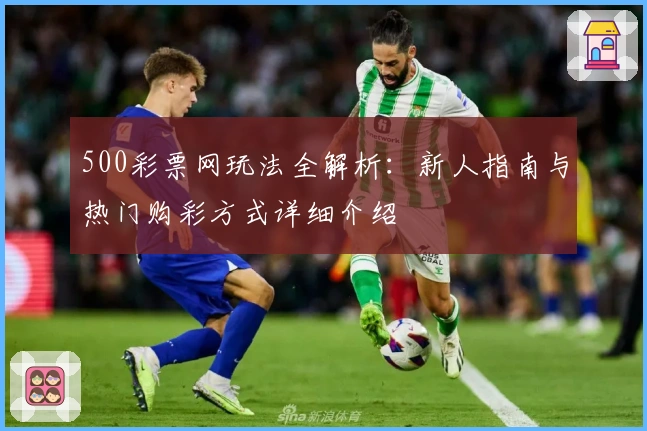 500彩票网玩法全解析：新人指南与热门购彩方式详细介绍