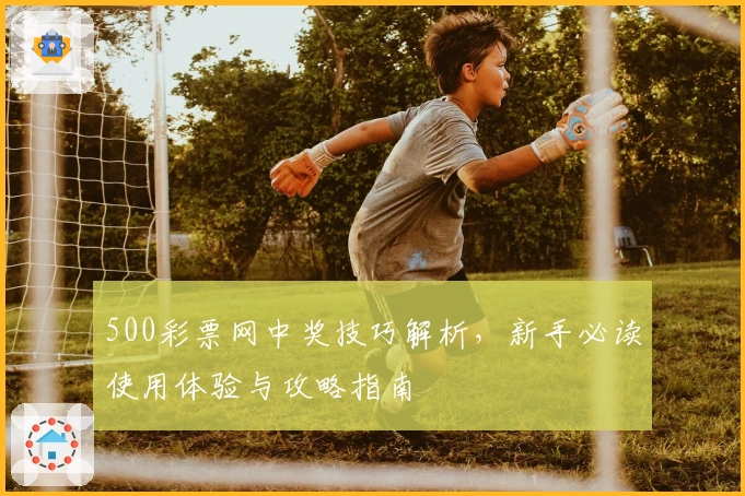 500彩票网中奖技巧解析，新手必读使用体验与攻略指南