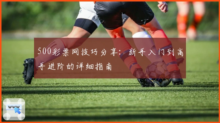 500彩票网技巧分享：新手入门到高手进阶的详细指南