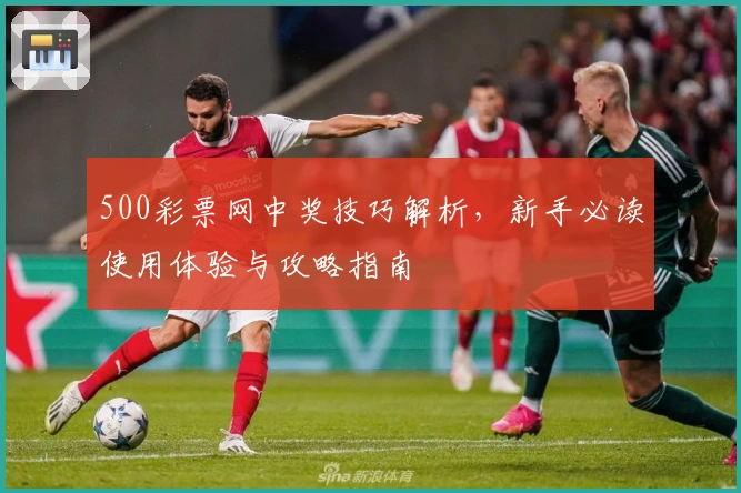 500彩票网中奖技巧解析,新手必读使用体验与攻略指南