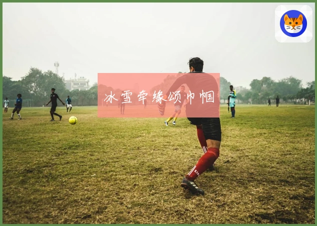 冰雪牵缘颂巾帼